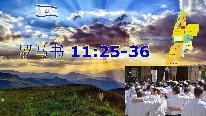 罗马书 11:25-36